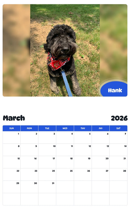 November 2025 - October 2026 Hank - Pawidols Pet Calendar