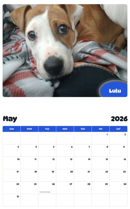 2026 - 2027 Lulu - Pawidols Pet Calendar