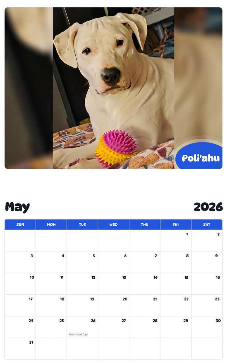 2026 - 2027 Poli'ahu - Pawidols Pet Calendar