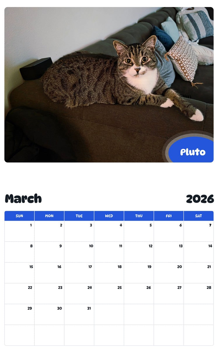 November 2025 - October 2026 Pluto - Pawidols Pet Calendar
