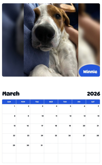 November 2025 - October 2026 Winnie - Pawidols Pet Calendar