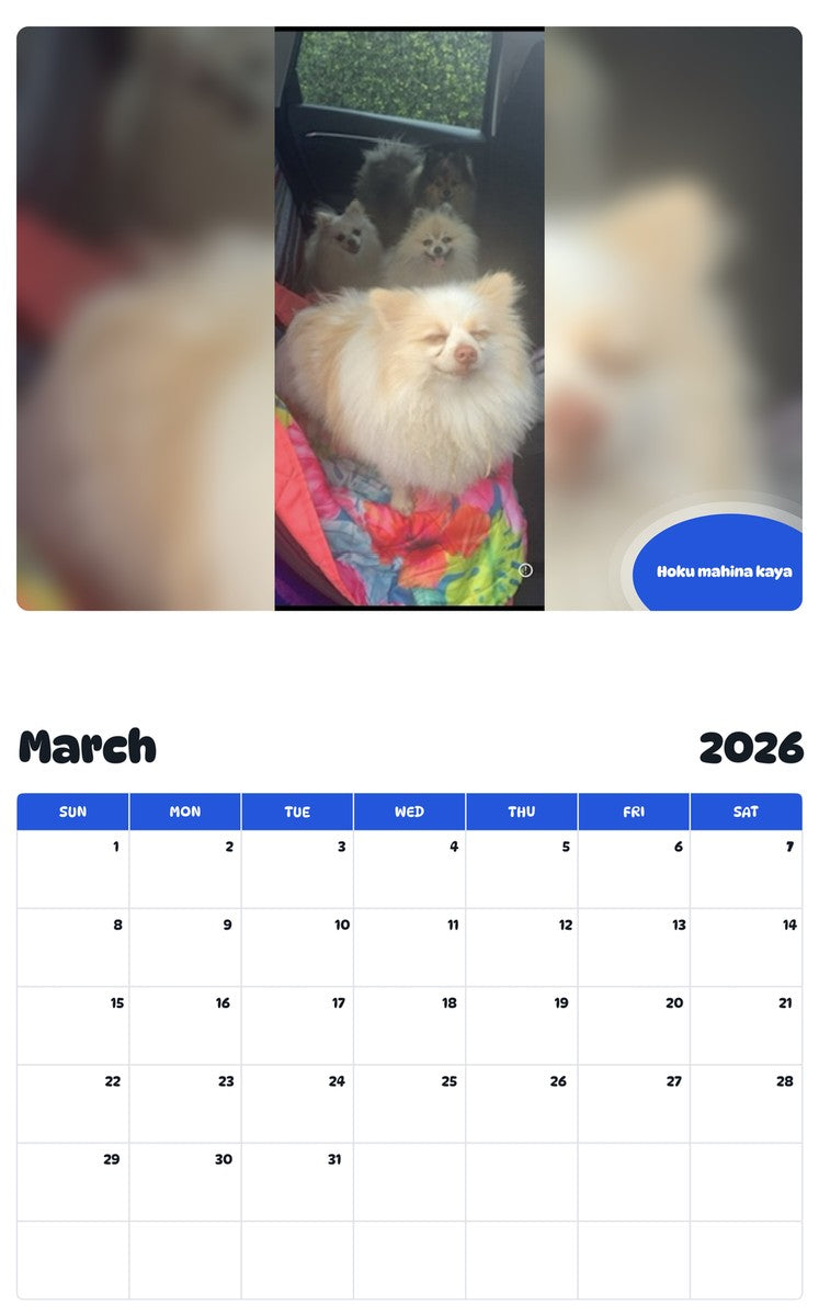 November 2025 - October 2026 Hoku mahina kaya - Pawidols Pet Calendar