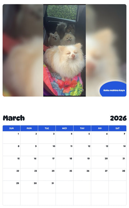 November 2025 - October 2026 Hoku mahina kaya - Pawidols Pet Calendar