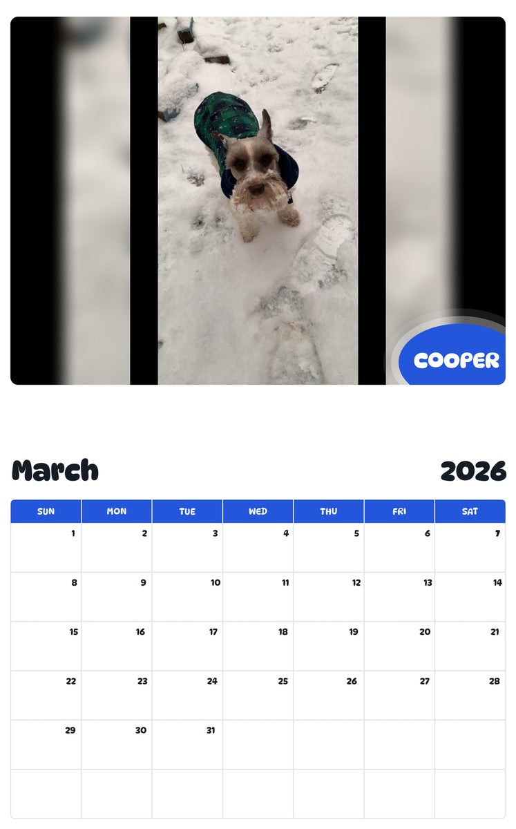 November 2025 - October 2026 COOPER - Pawidols Pet Calendar