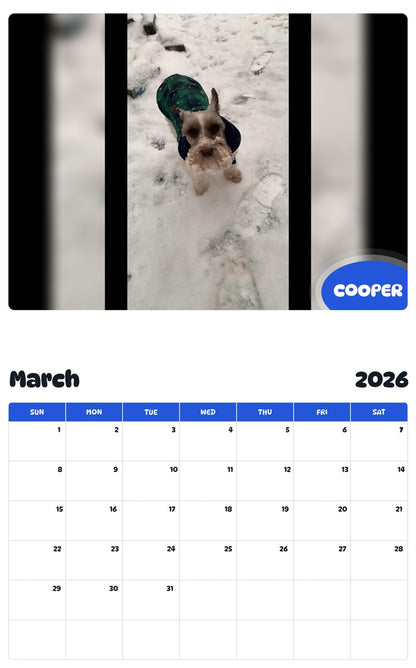 November 2025 - October 2026 COOPER - Pawidols Pet Calendar