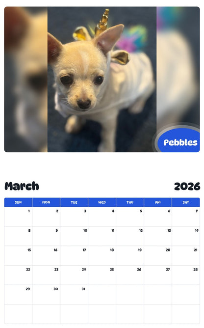 November 2025 - October 2026 Pebbles - Pawidols Pet Calendar