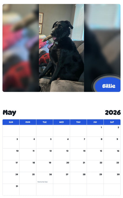 2026 - 2027 Billie - Pawidols Pet Calendar