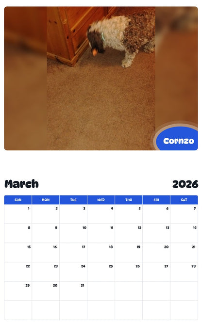 November 2025 - October 2026 Cornzo - Pawidols Pet Calendar