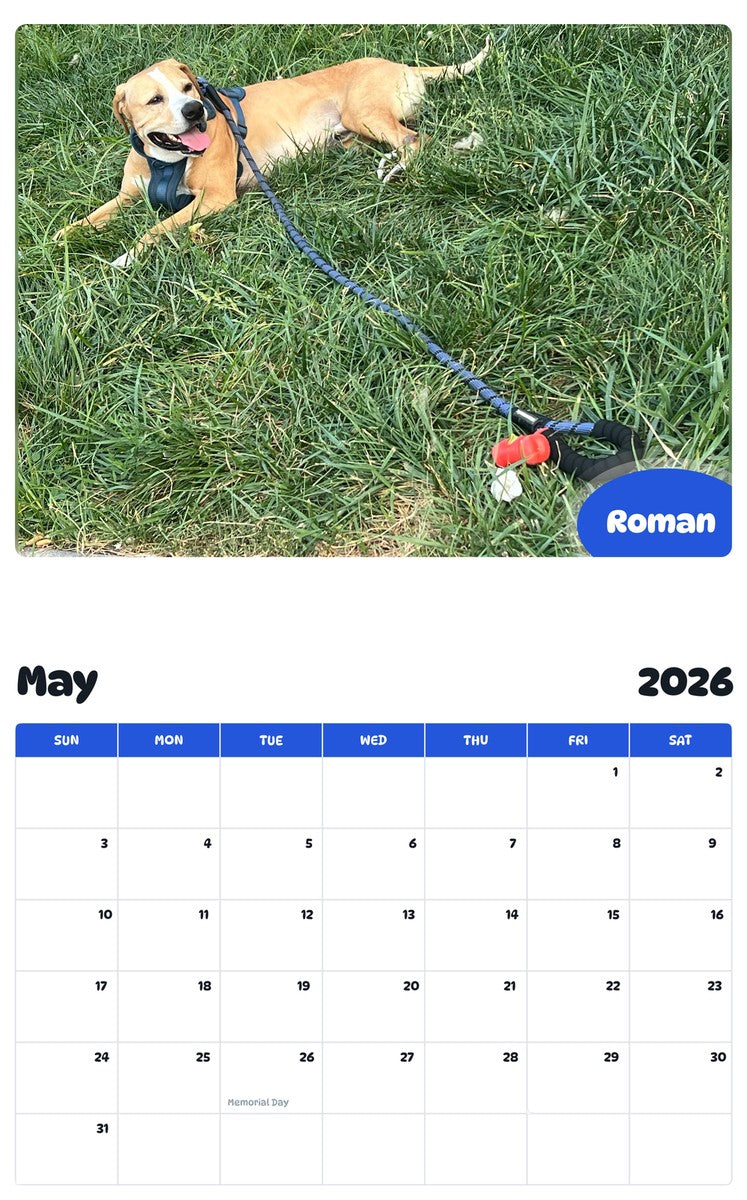 2026 - 2027 Roman - Pawidols Pet Calendar