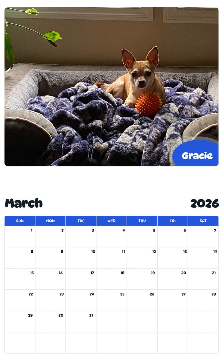 November 2025 - October 2026 Gracie - Pawidols Pet Calendar
