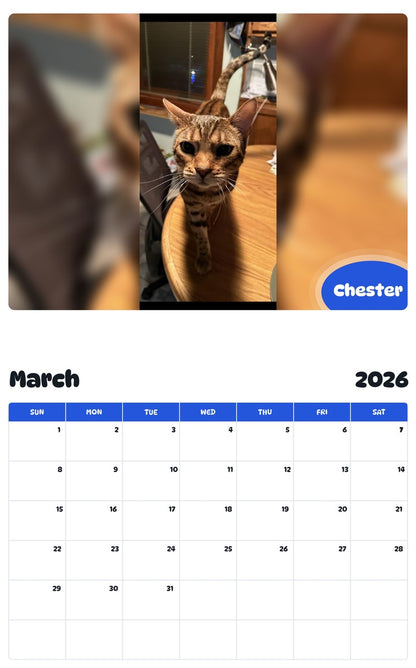 2026 - 2027 Chester - Pawidols Pet Calendar