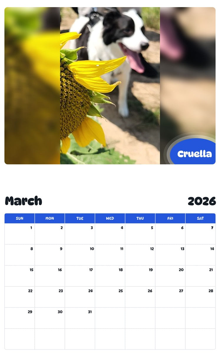 November 2025 - October 2026 Cruella - Pawidols Pet Calendar