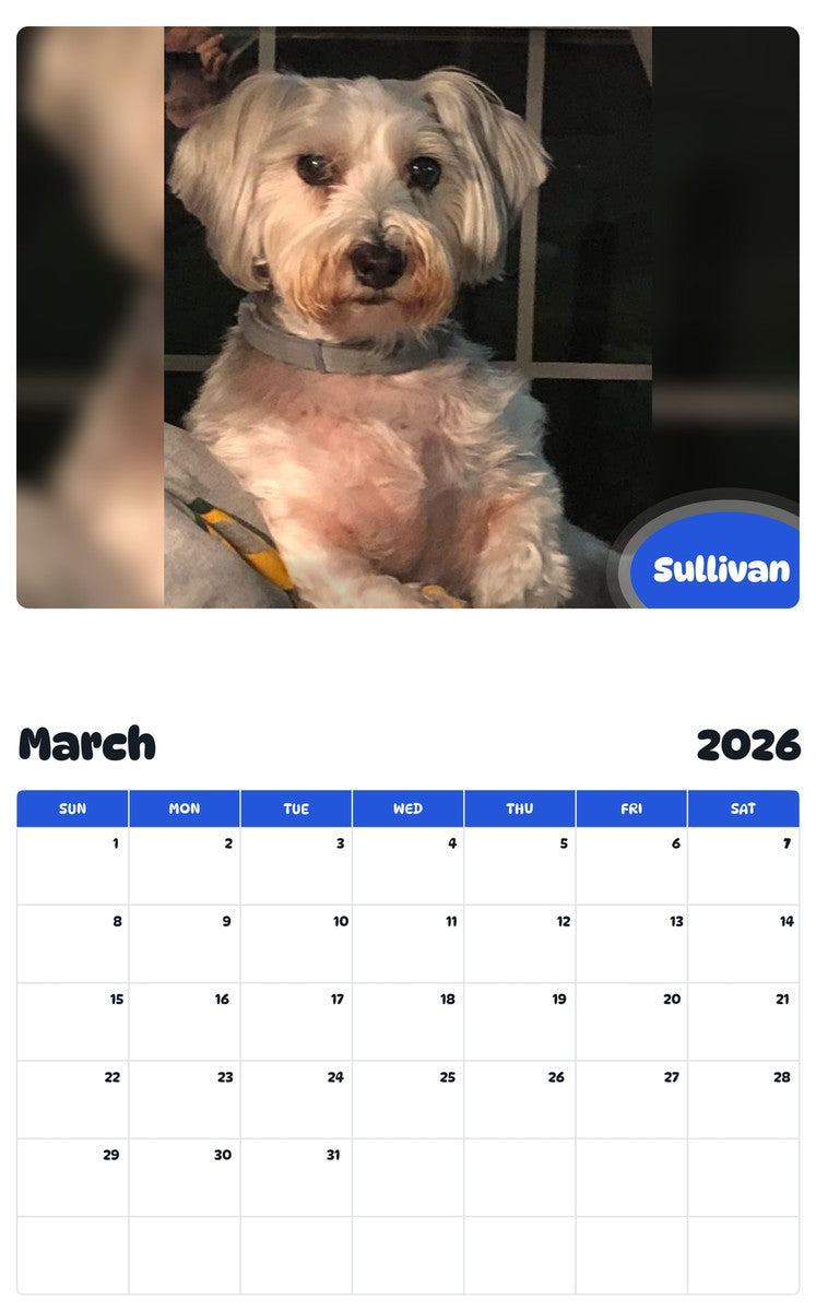 November 2025 - October 2026 Sullivan - Pawidols Pet Calendar