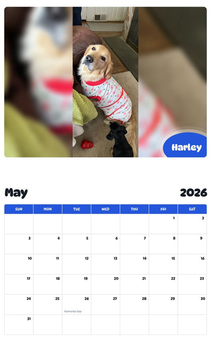2026 - 2027 Harley - Pawidols Pet Calendar