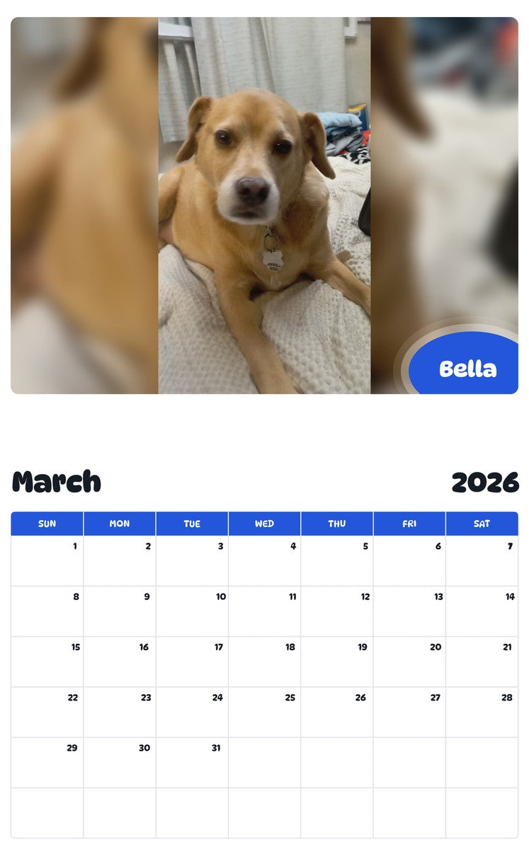 November 2025 - October 2026 Bella - Pawidols Pet Calendar