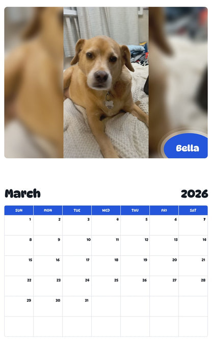 November 2025 - October 2026 Bella - Pawidols Pet Calendar