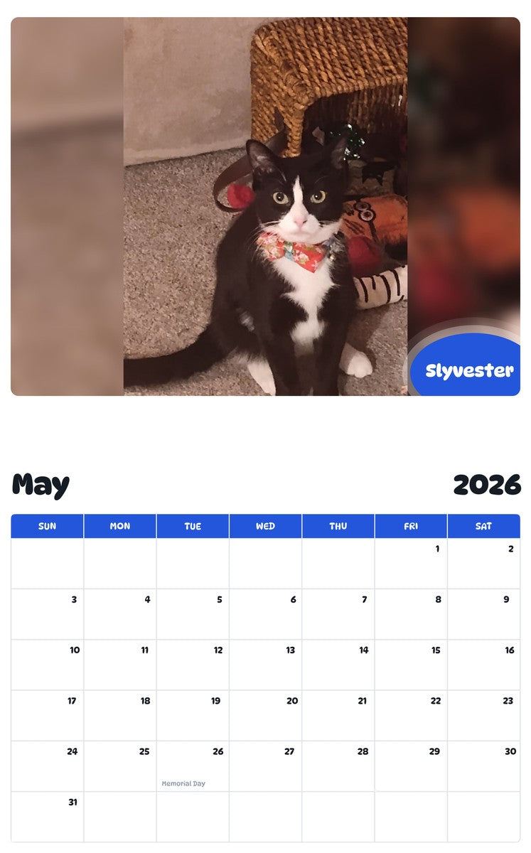 2026 - 2027 Slyvester - Pawidols Pet Calendar