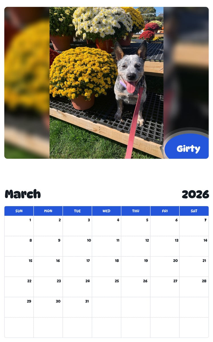 November 2025 - October 2026 Girty - Pawidols Pet Calendar