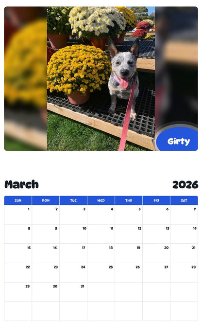 November 2025 - October 2026 Girty - Pawidols Pet Calendar