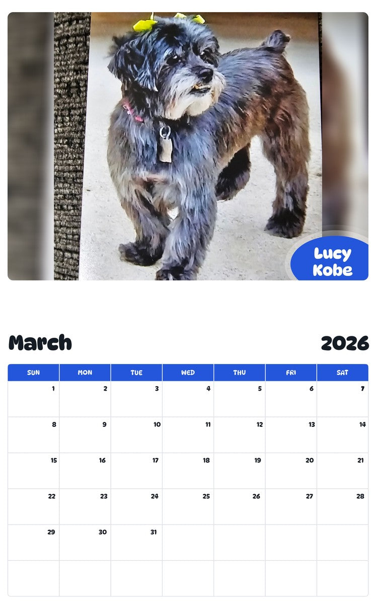 November 2025 - October 2026 Lucy Kobe - Pawidols Pet Calendar