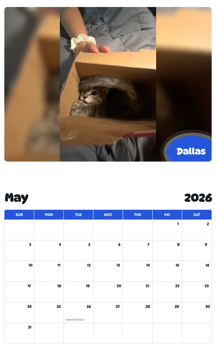 2026 - 2027 Dallas - Pawidols Pet Calendar