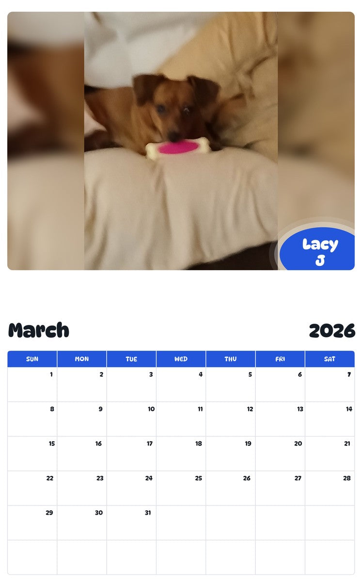 November 2025 - October 2026 Lacy J - Pawidols Pet Calendar