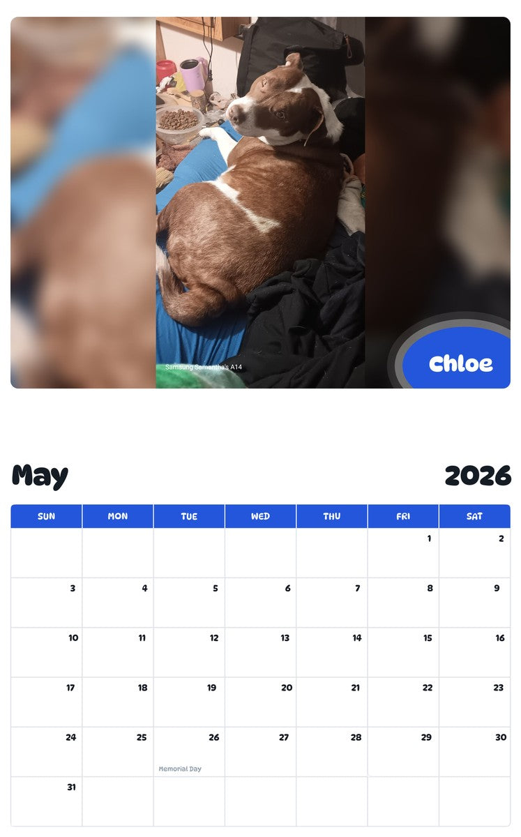2026 - 2027 Chloe - Pawidols Pet Calendar