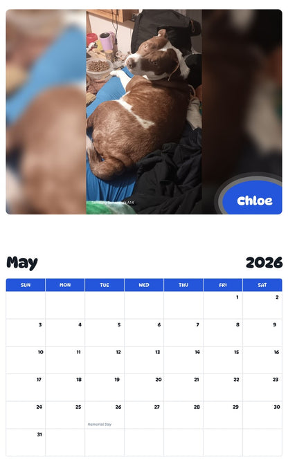 2026 - 2027 Chloe - Pawidols Pet Calendar