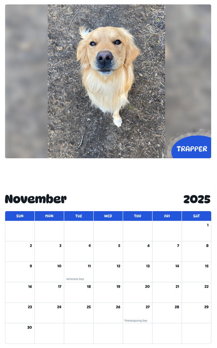 July 2025 - June 2026 Trapper - Pawidols Pet Calendar