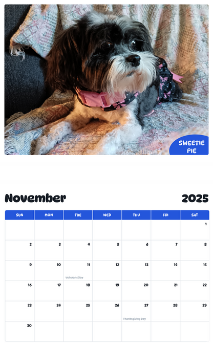 July 2025 - June 2026 Sweetie Pie - Pawidols Pet Calendar