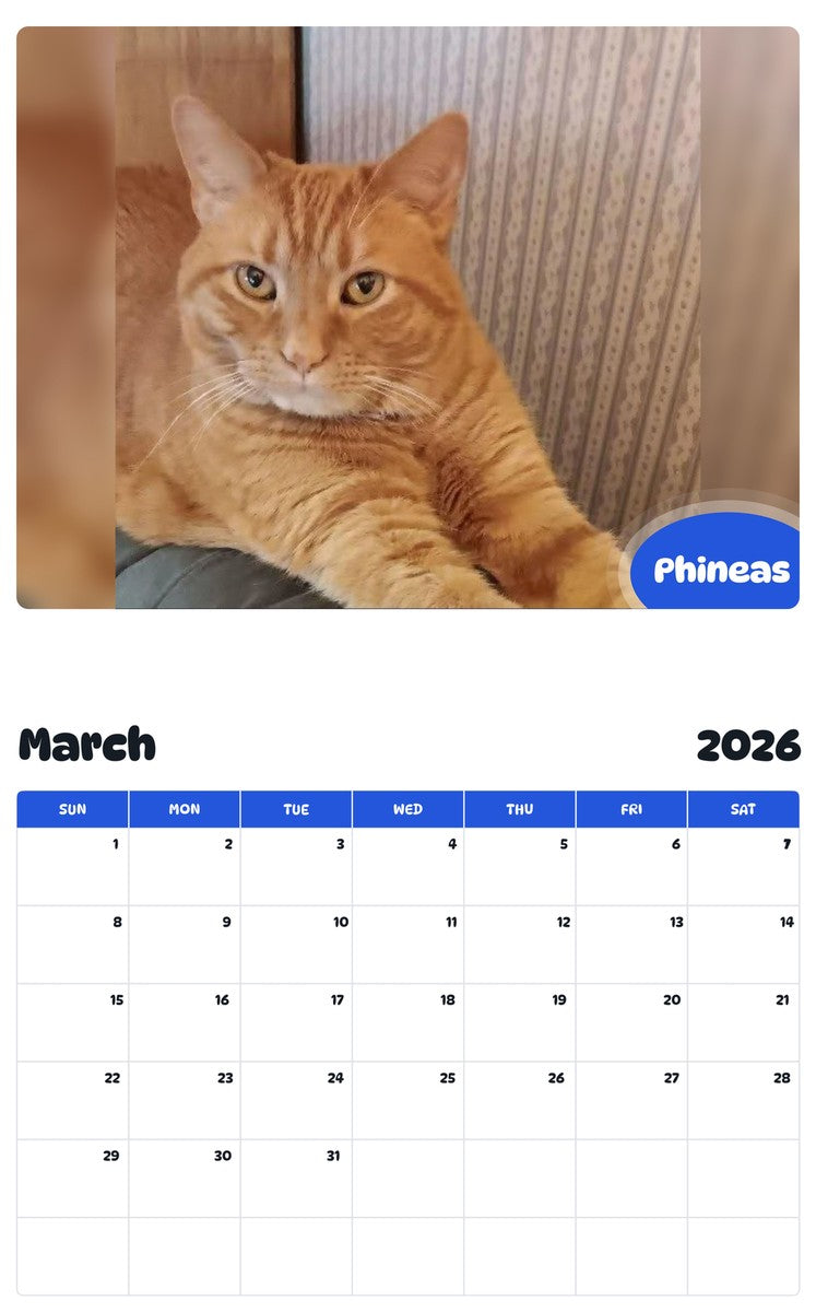 November 2025 - October 2026 Phineas - Pawidols Pet Calendar