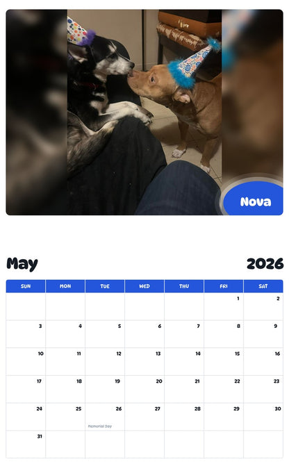 2026 - 2027 Nova - Pawidols Pet Calendar