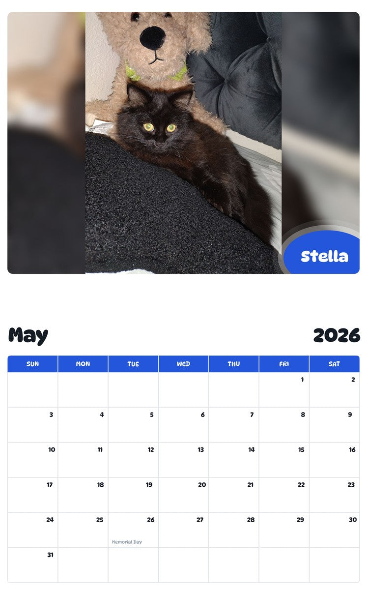 2026 - 2027 Stella - Pawidols Pet Calendar