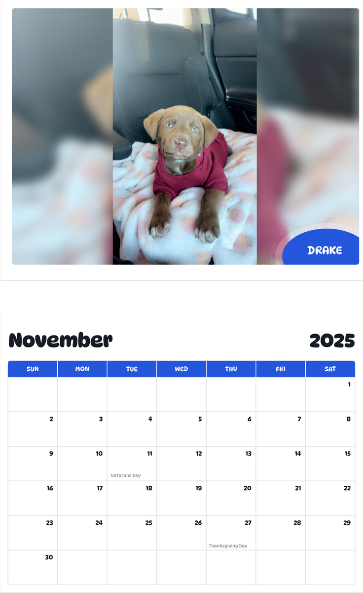 July 2025 - June 2026 Drake - Pawidols Pet Calendar