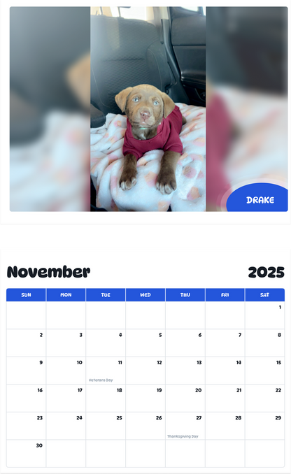 July 2025 - June 2026 Drake - Pawidols Pet Calendar