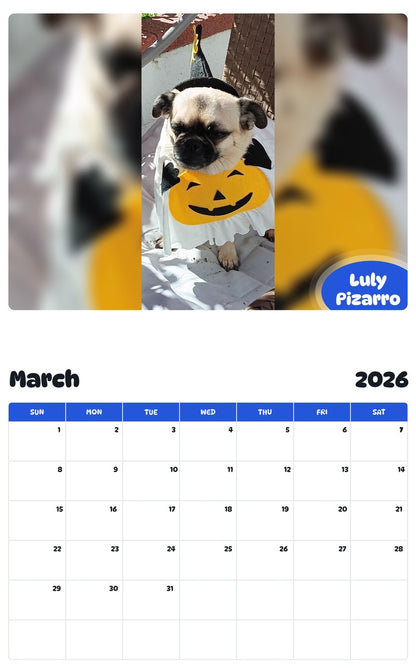 November 2025 - October 2026 Luly Pizarro - Pawidols Pet Calendar