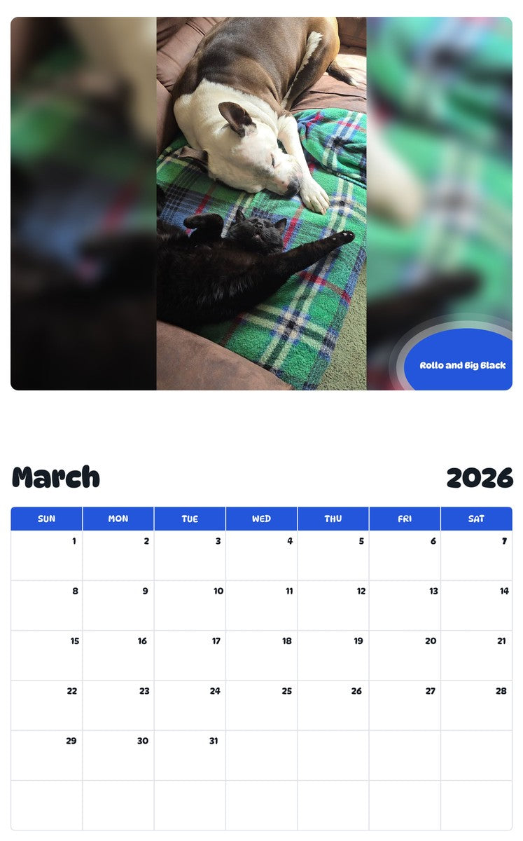 November 2025 - October 2026 Rollo and Big Black - Pawidols Pet Calendar