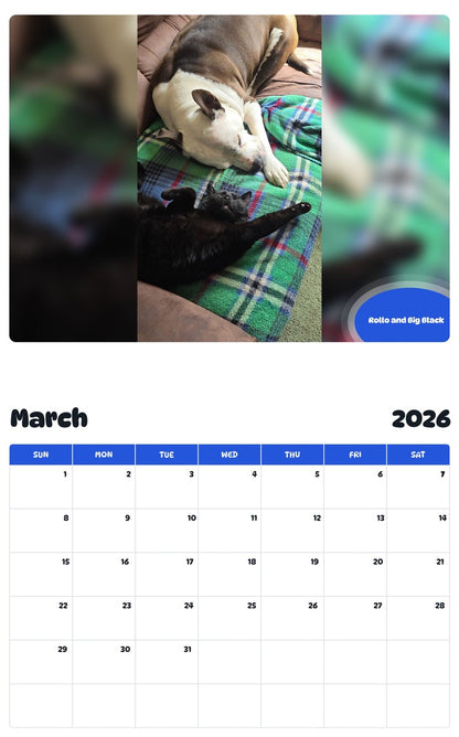 November 2025 - October 2026 Rollo and Big Black - Pawidols Pet Calendar
