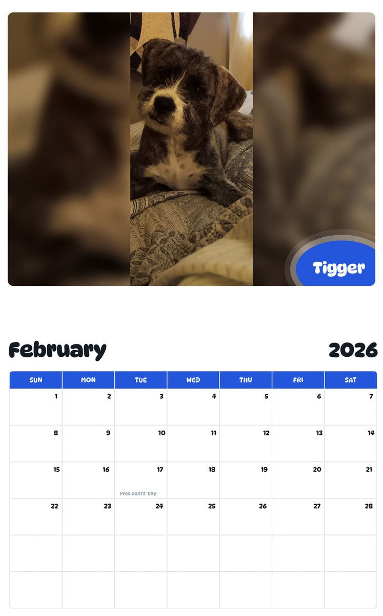 October 2025 - September 2026 Tigger - Pawidols Pet Calendar