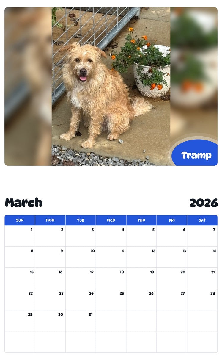 November 2025 - October 2026 Tramp - Pawidols Pet Calendar