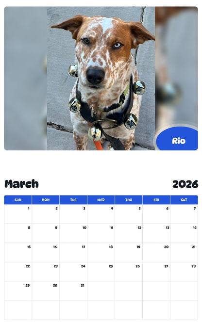 November 2025 - October 2026 Rio - Pawidols Pet Calendar