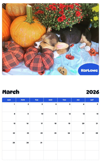 November 2025 - October 2026 HarLowe - Pawidols Pet Calendar