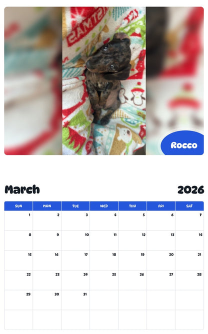 November 2025 - October 2026 Rocco - Pawidols Pet Calendar