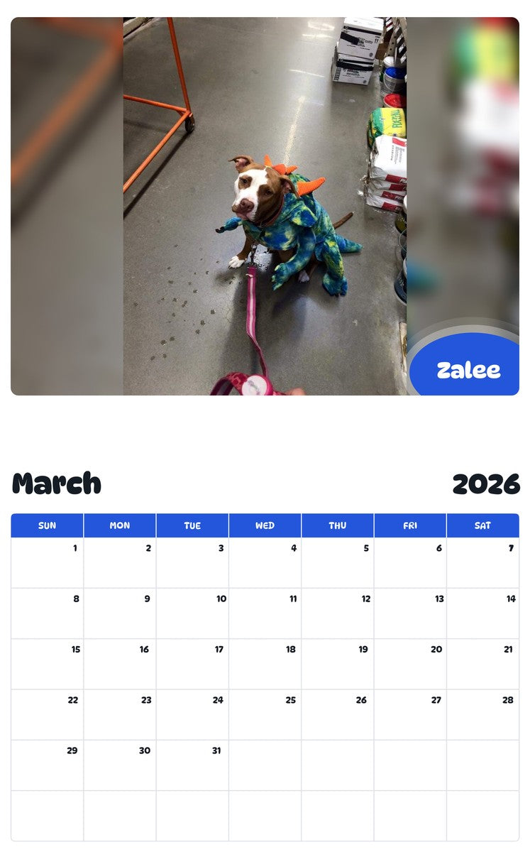 November 2025 - October 2026 Zalee - Pawidols Pet Calendar