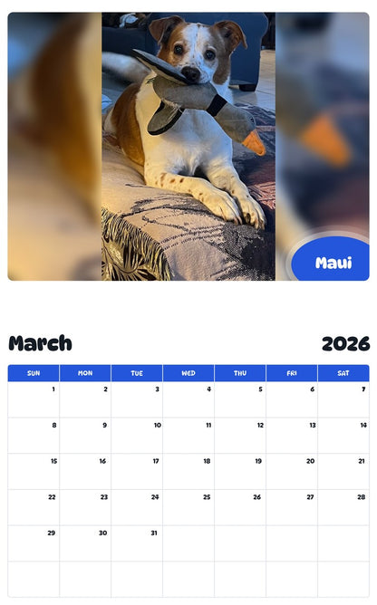 November 2025 - October 2026 Maui - Pawidols Pet Calendar