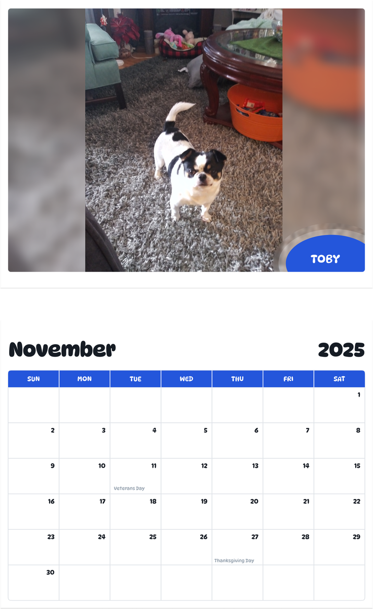 July 2025 - June 2026 Toby - Pawidols Pet Calendar