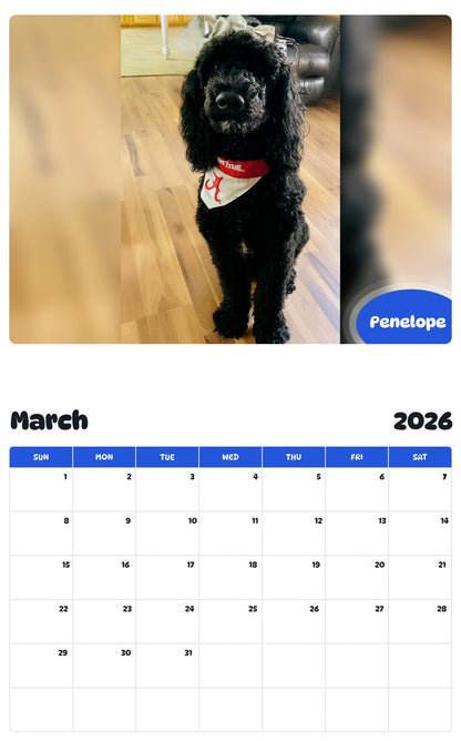 November 2025 - October 2026 Penelope - Pawidols Pet Calendar