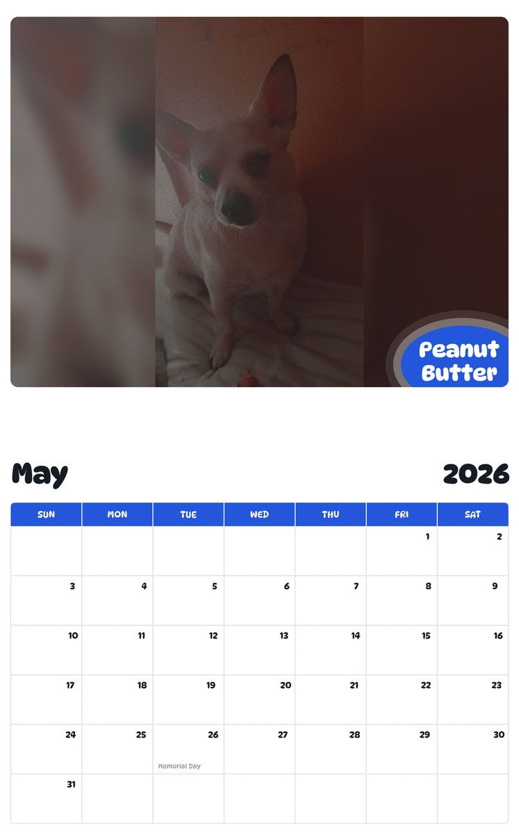 2026 - 2027 Peanut Butter - Pawidols Pet Calendar