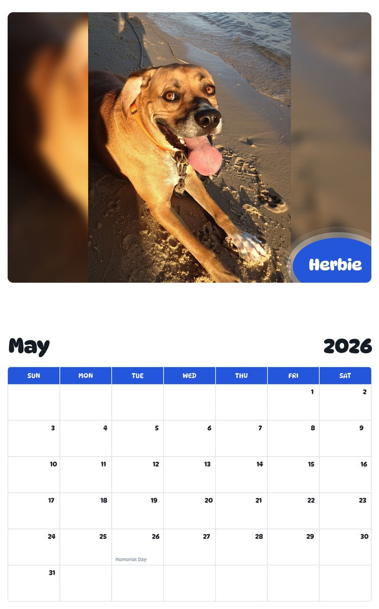 2026 - 2027 Herbie - Pawidols Pet Calendar