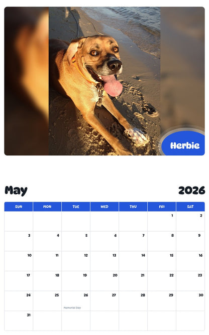 2026 - 2027 Herbie - Pawidols Pet Calendar